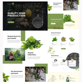 Web Temalar