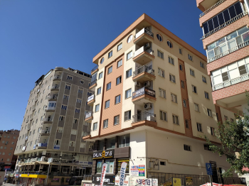 devnanotek ofis
